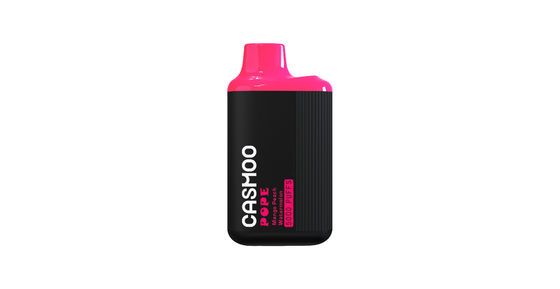 Long Lasting Vape Liquid Electronic Cigarette 10ML 5000 Puff Rechargeable With Mesh Coil
