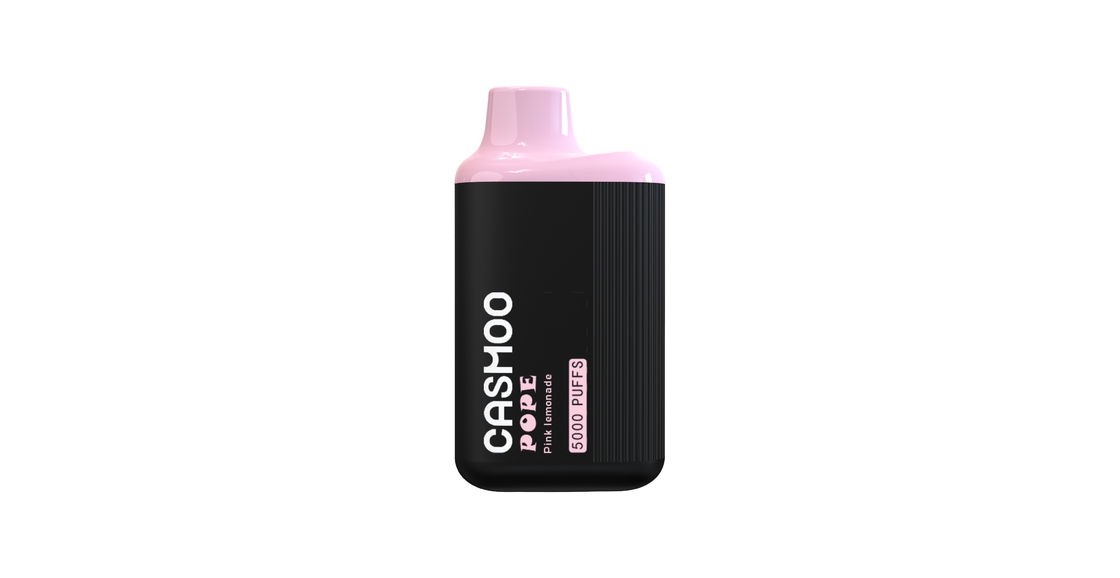 Long Lasting Vape Liquid Electronic Cigarette 10ML 5000 Puff Rechargeable With Mesh Coil