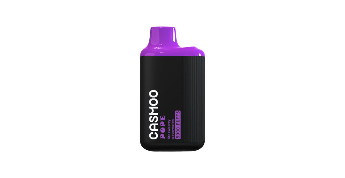 Long Lasting Vape Liquid Electronic Cigarette 10ML 5000 Puff Rechargeable With Mesh Coil