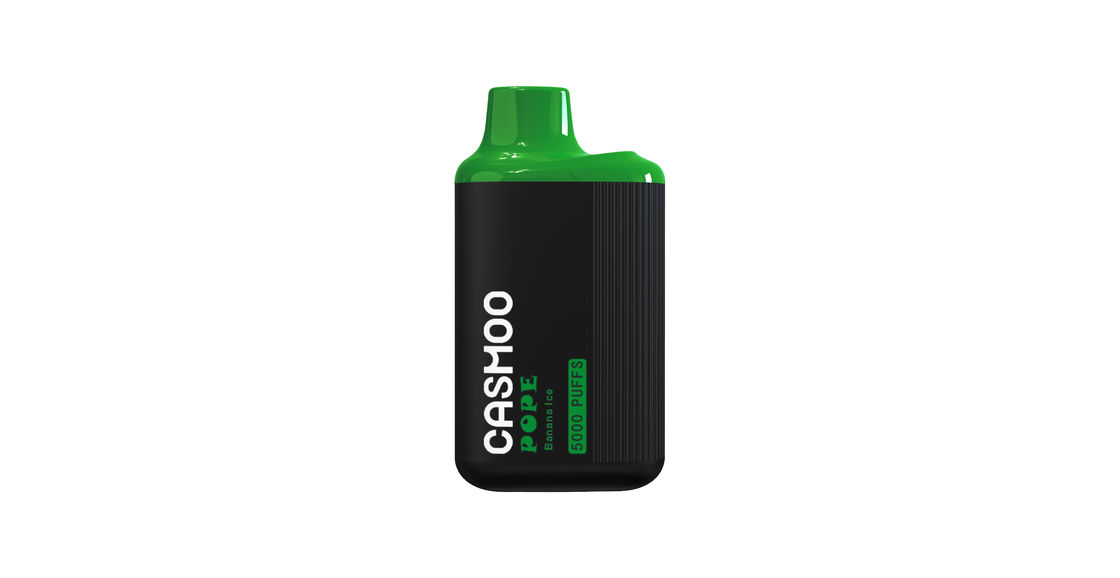 Disposable Electronic Vape E Cigarette 5000 Puffs 550mah Rechargeable OEM ODM