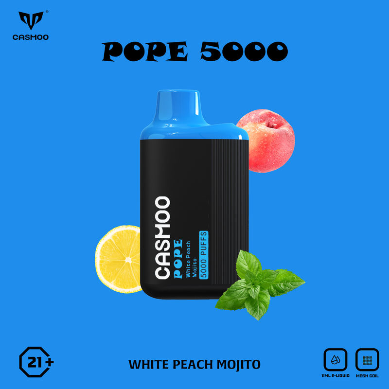5000 Puffs Blue Raspberry Vapes Disposable Electronic Vape Non Refillable
