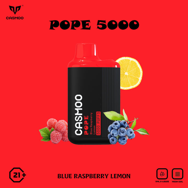 Draw Activated 5000 Puffs Disposable Vape 550Mah Multi Flavored With Rechargeable Type-c